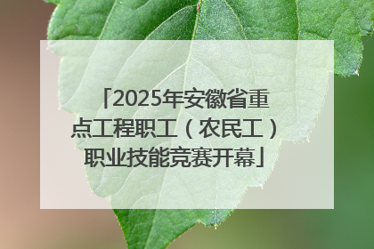 2025年安徽省重点工程职工（农民工）职业技能竞赛开幕