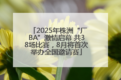 2025年株洲“厂BA”激情启幕 共38场比赛，8月将首次举办全国邀请赛