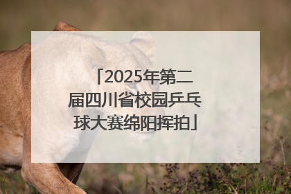 2025年第二届四川省校园乒乓球大赛绵阳挥拍