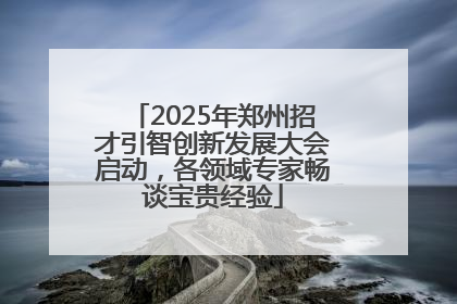 2025年郑州招才引智创新发展大会启动，各领域专家畅谈宝贵经验