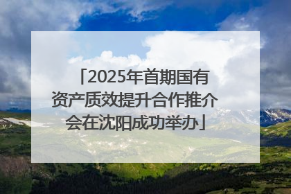 2025年首期国有资产质效提升合作推介会在沈阳成功举办