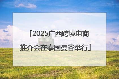2025广西跨境电商推介会在泰国曼谷举行