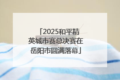 2025和平精英城市赛总决赛在岳阳市圆满落幕