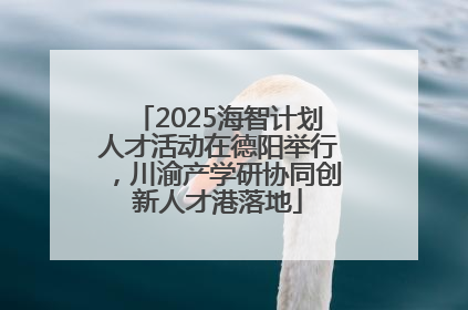 2025海智计划人才活动在德阳举行，川渝产学研协同创新人才港落地
