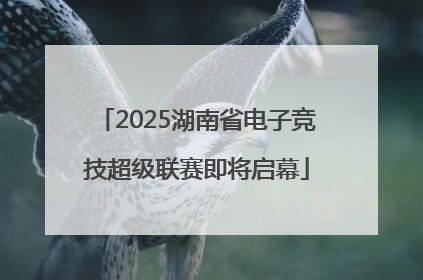 2025湖南省电子竞技超级联赛即将启幕