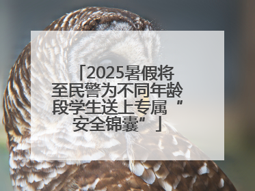 2025暑假将至民警为不同年龄段学生送上专属“安全锦囊”