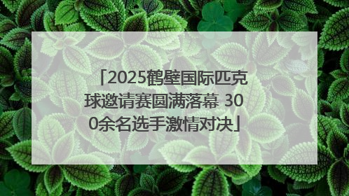 2025鹤壁国际匹克球邀请赛圆满落幕 300余名选手激情对决