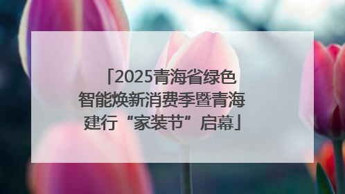 2025青海省绿色智能焕新消费季暨青海建行“家装节”启幕