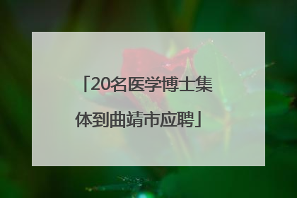 20名医学博士集体到曲靖市应聘