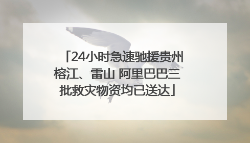 24小时急速驰援贵州榕江、雷山 阿里巴巴三批救灾物资均已送达