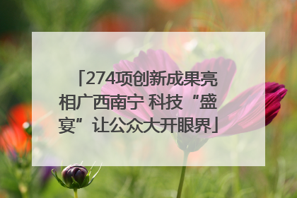 274项创新成果亮相广西南宁 科技“盛宴”让公众大开眼界