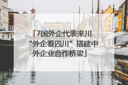 7国外企代表来川 “外企看四川”搭建中外企业合作桥梁