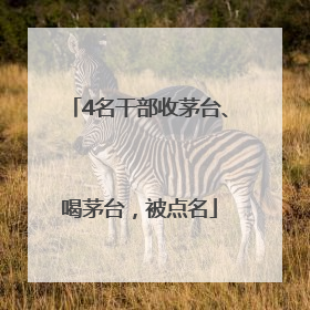 4名干部收茅台、喝茅台，被点名
