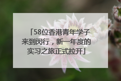 58位香港青年学子来到闵行，新一年度的实习之旅正式拉开