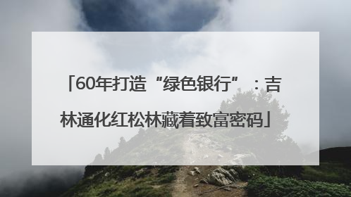 60年打造“绿色银行”：吉林通化红松林藏着致富密码