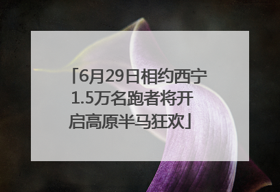6月29日相约西宁 1.5万名跑者将开启高原半马狂欢