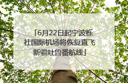 6月22日起宁波栎社国际机场将恢复直飞新疆吐鲁番航线