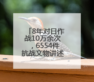 8年对日作战10万余次，6554件抗战文物讲述英雄故事