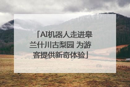 AI机器人走进皋兰什川古梨园 为游客提供新奇体验