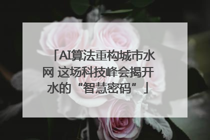 AI算法重构城市水网 这场科技峰会揭开水的“智慧密码”