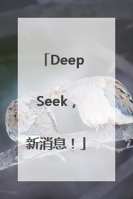 DeepSeek，新消息！