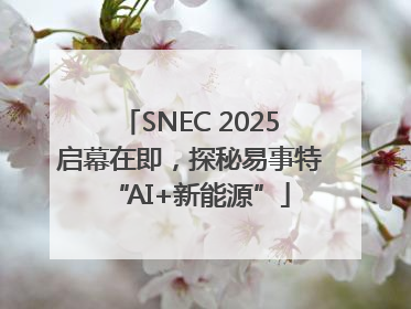SNEC 2025启幕在即，探秘易事特“AI+新能源”